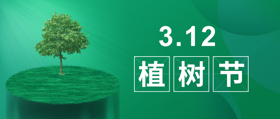 3.12植树节|除了植树，我们还能做什么？